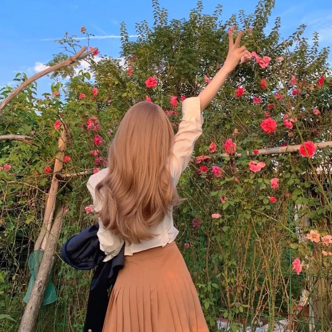 国民安保官之绝命护卫